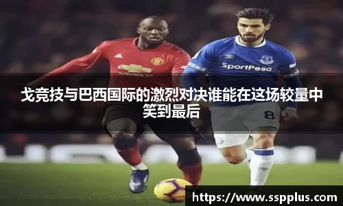 星空XK体育